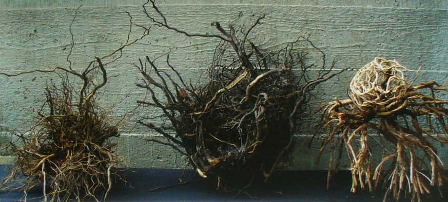 Kunstverein Kreis Soest